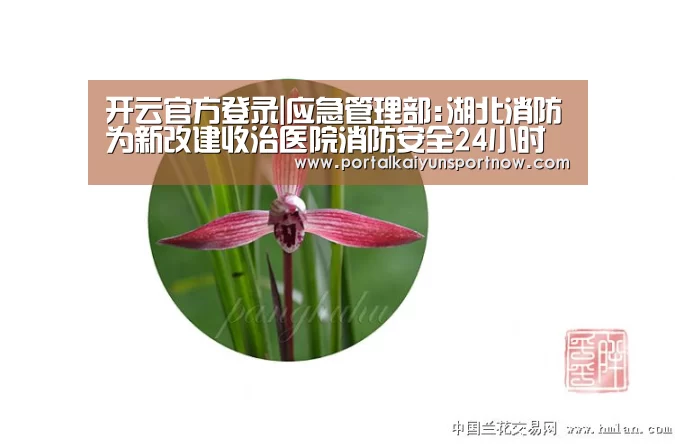 开云官网登录入口