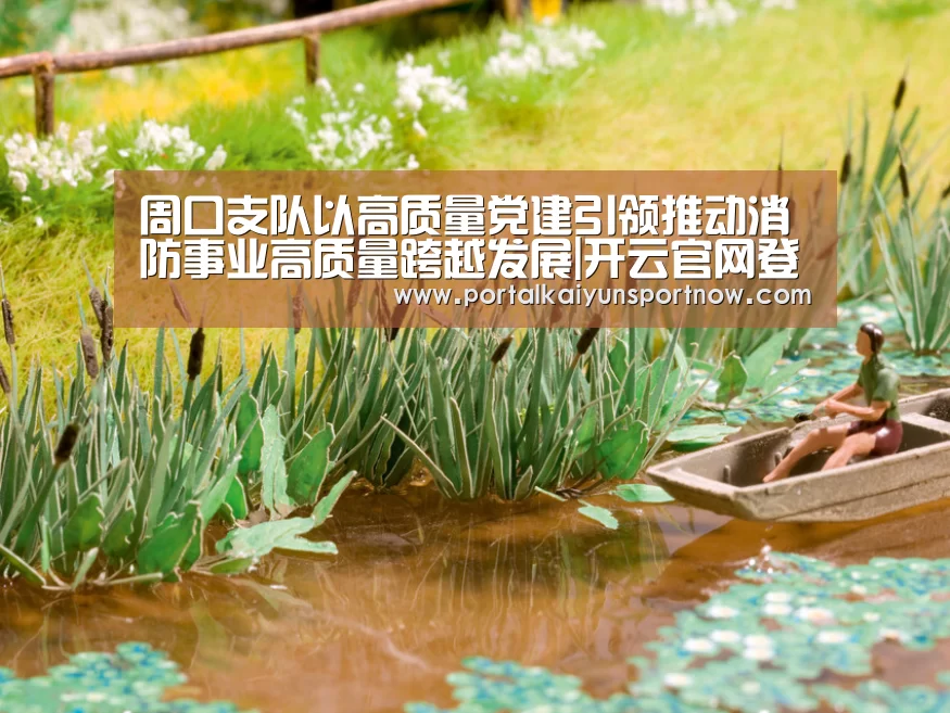 开云平台官网