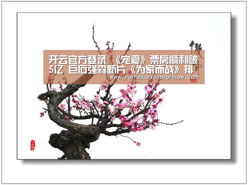 开云官网登录入口