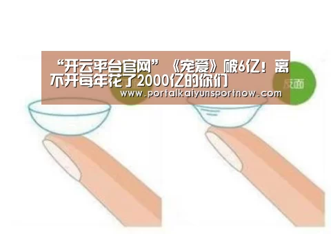 “开云平台官网”《宠爱》破6亿!离不开每年花了2000亿的你们(图3) 开云官方登录